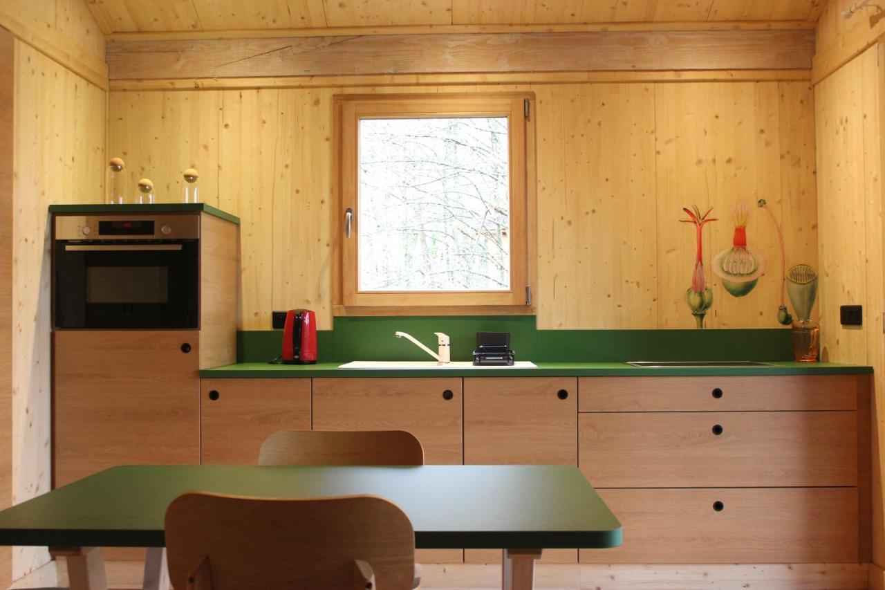 Domaine De Ribeaugoutte Holiday home Saint-Nabord