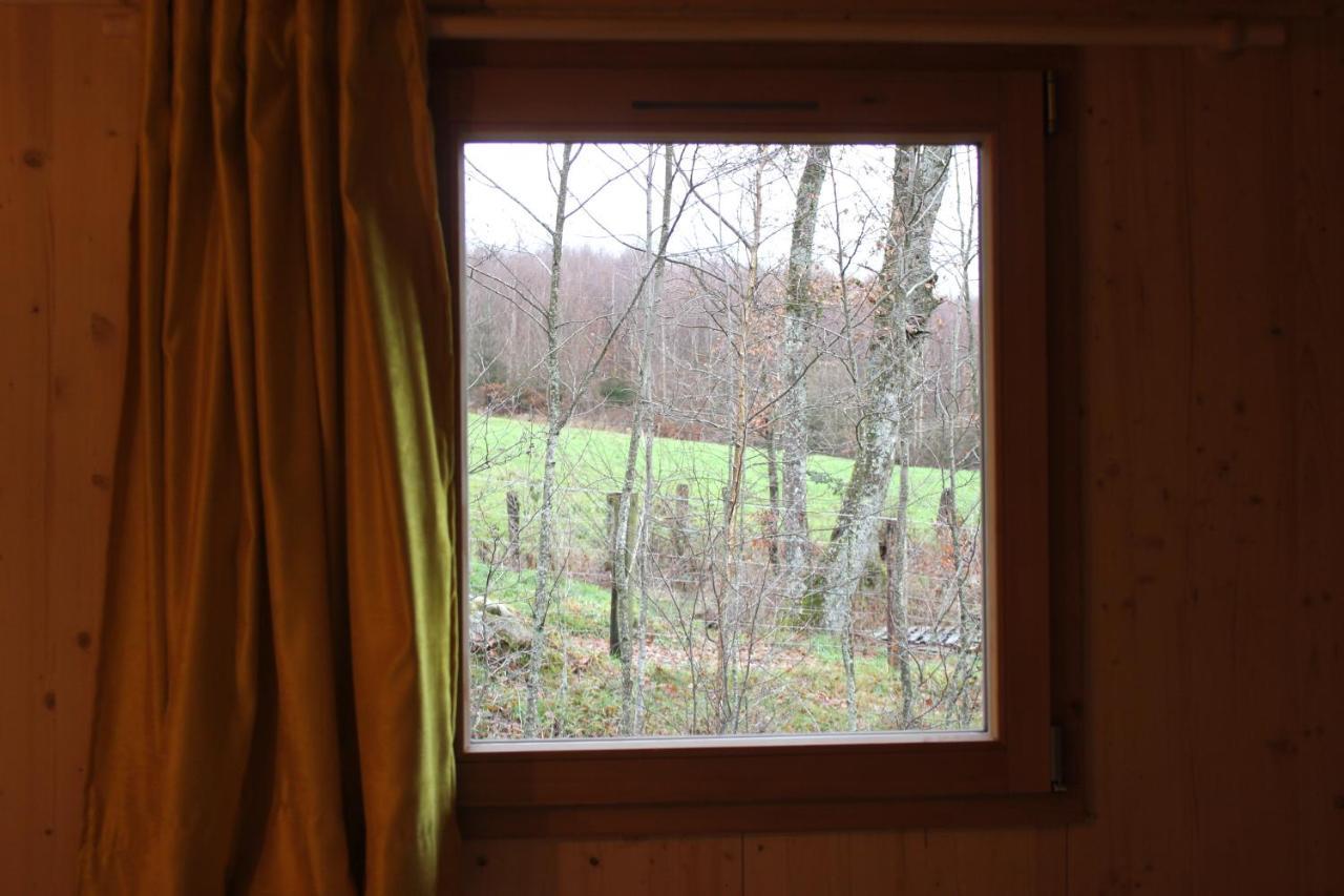 Domaine De Ribeaugoutte Holiday home Saint-Nabord