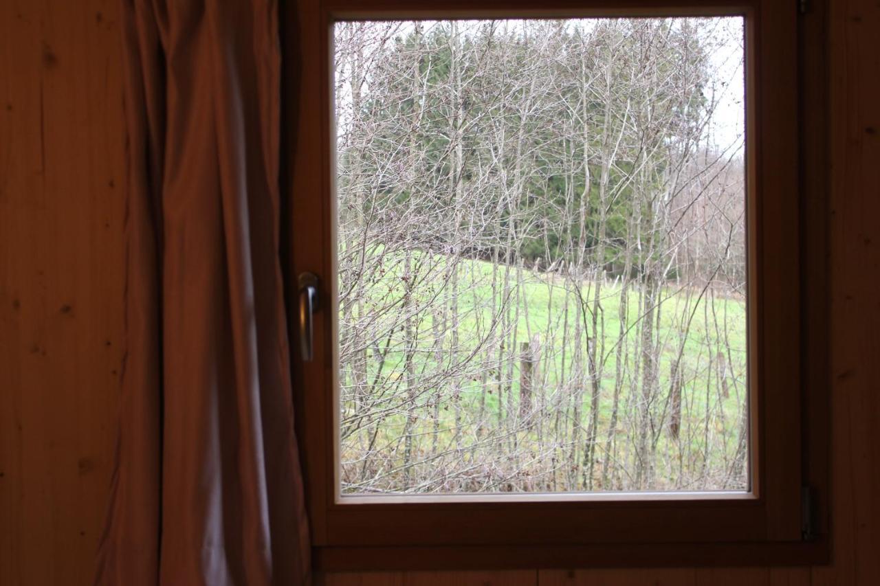 Domaine De Ribeaugoutte Saint-Nabord