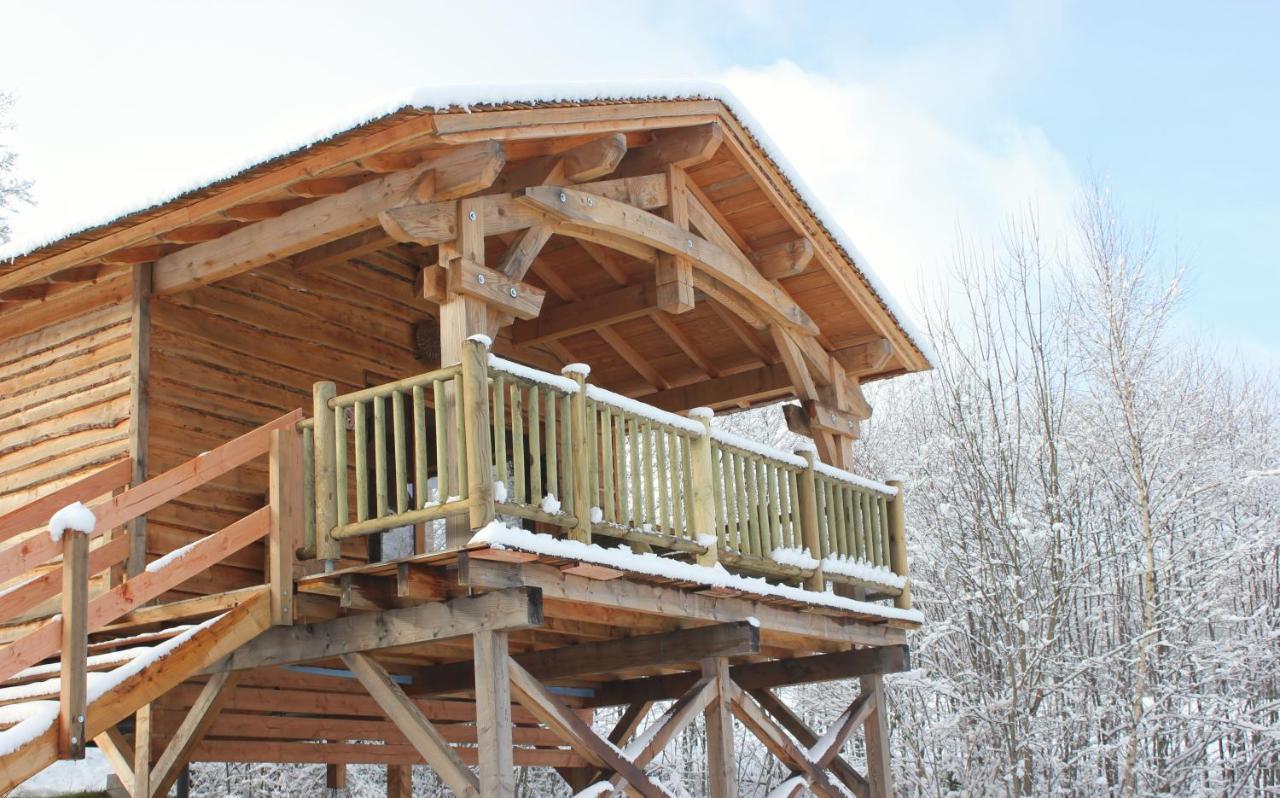 Domaine De Ribeaugoutte Holiday home Saint-Nabord
