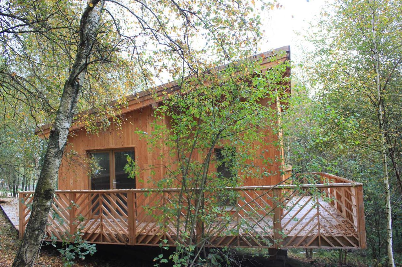 Domaine De Ribeaugoutte Holiday home